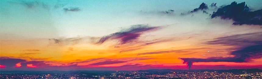 红河茶虫网_红河品茶